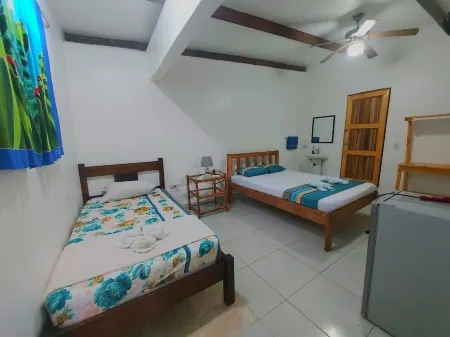 Habitación con Aire Acompañante + Tour por los Canales del Parque Nacional Отели в г. Тортугеро