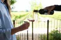 Vacation Cottage La Vigna with Pool