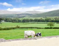 Fell View Cottage Hotels in Millom