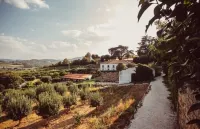 Hotel Rural Casa Dos Viscondes da Varzea - Mountain view