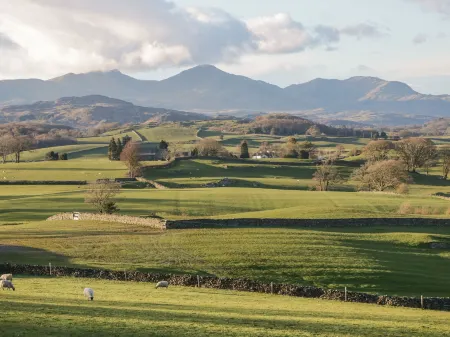 8 Woodlands Отели в г. Torver