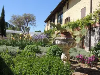 Resort Villa Manin