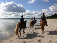 Feddet Strand Resort - Bãi biển