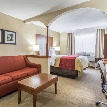 Comfort Inn Nashville West Hotels near Tennessee State University