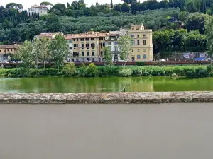 Le RÊVE de Naim Firenze