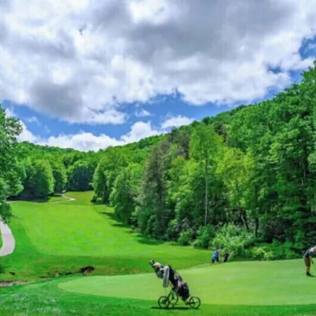 Sugar Mountain<br>-Sugar Bear @Sugartop Resort