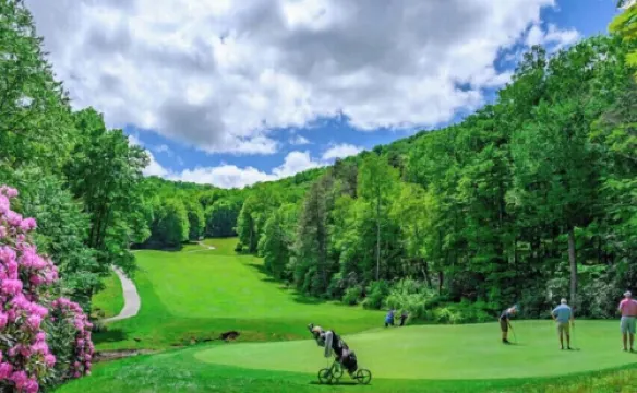 Sugar Mountain<br>-Sugar Bear @Sugartop Resort