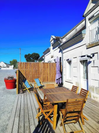 Les gites de la musardiére la maison du cher zooparc Beauval, many castles
