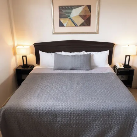 Hotel America Palacio