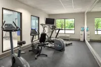 Holiday Inn Express & Suites BROCKVILLE by IHG - Gym
