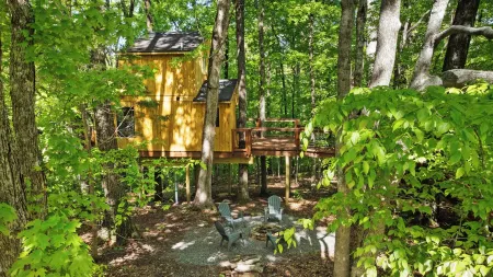 Private Treehouse getaway on Lake Barkley.  Luxury in the trees!
