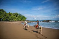 Copa De Arbol Beach & Rainforest Resort - 3-Star