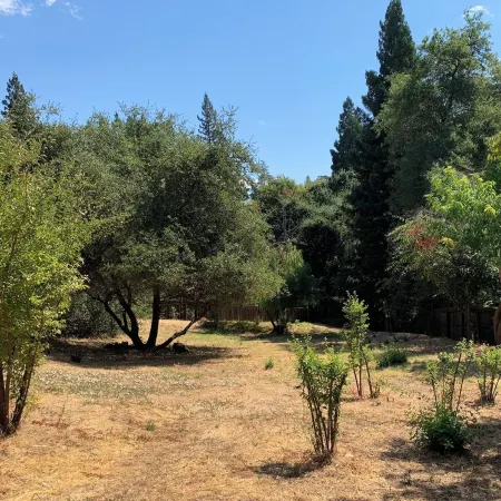 Newly renovated spacious home near Folsom Lake