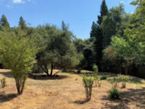 Newly renovated spacious home near Folsom Lake