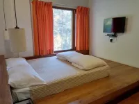 Views from top of Shimla, 600 M from the Mall Road and The Ridge, Drive - in