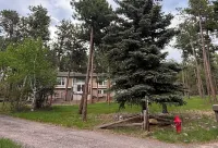 Spacious 4-bed house in the woods of beautiful Monument by the Air Force Academy