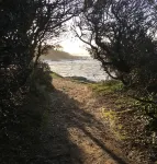 Cosy, comfortable 4-star apartment