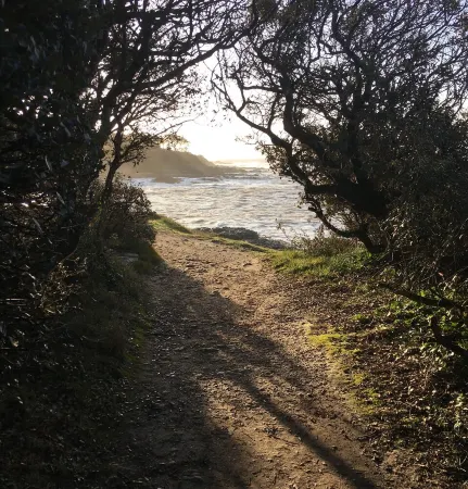 Cosy, comfortable 4-star apartment