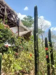 Tuani Lodge-off grid eco Casitas close to the beach