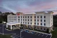 Hampton Inn & Suites Walterboro - parcheggio