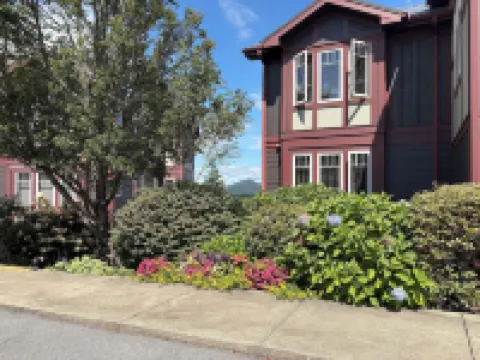 Breathtaking Views with 3 King Bedrooms! the Perfect Mountain Getaway!
