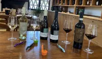 Tenuta Sovestro - Barer