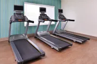Holiday Inn Express & Suites MALL OF AMERICA - MSP AIRPORT by IHG - Phòng tập thể hình
