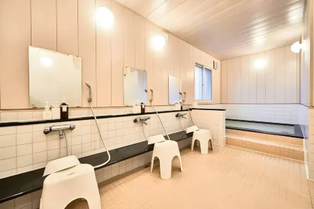 Hotel Select Inn Isesaki