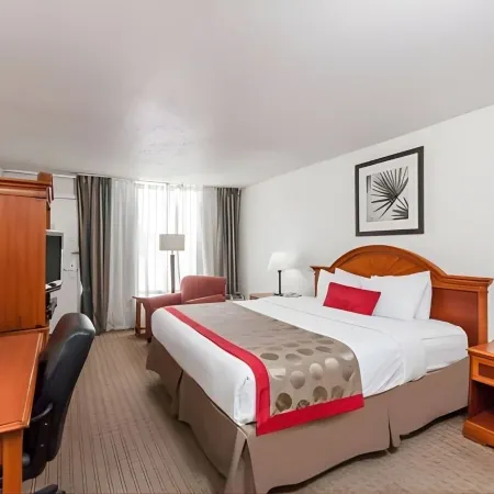 Iberia House & Suites