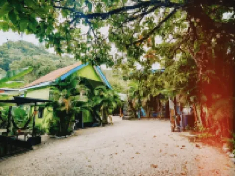 Surf Paradise Hotels in Carmen