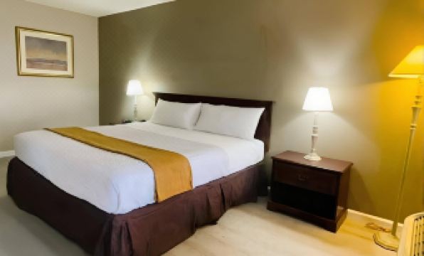 Rodeway Inn Jackson - Martell