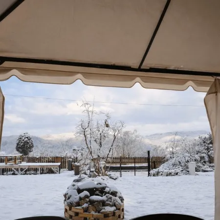 Yeoncheon Jjongi and Mary Newly Built First Branch (Pet Pension)