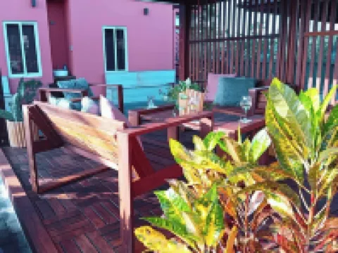 Dolfijn Studios Hotels in 