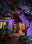 Casa del Árbol Hostel Xochimilco - Hostels