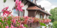 Pension Zum Ebenstein am Donausteig - Pensions