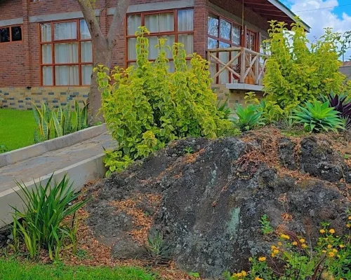 Daima Escape Hotels in Arumeru