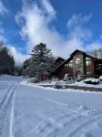 The Snowed Inn
