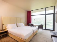 Douro Palace Hotel Resort & Spa Hotels in Baiao