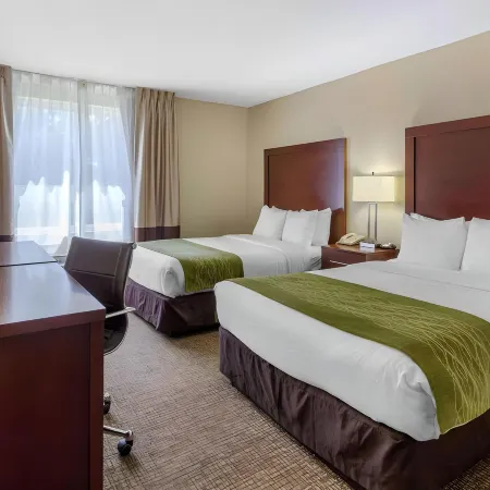 Comfort Inn St Petersburg North