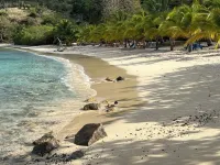Spectacular Beachfront Villa. Great Snorkeling, Kayaking, Sunrise & Sunset Views - Villas