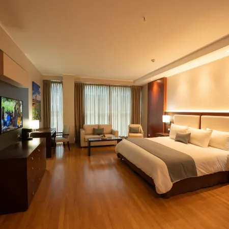 Hotel Ciudad de David