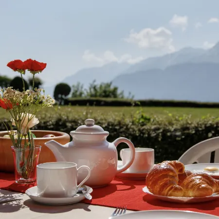 Terrasse des Alpes 615