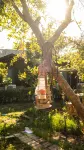 Huzur Pansiyon - Wi-Fi