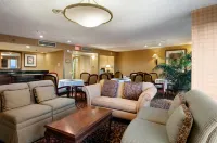 DoubleTree by Hilton Hotel Dallas - Richardson - Wifi