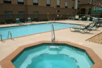 Hampton Inn & Suites Oxford-Anniston - piscine