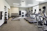Courtyard Atlanta Lithia Springs - Fitnessstudio
