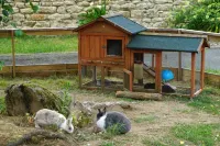 Auberge Ti'Gousket - Gym
