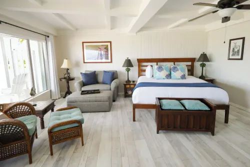 Coconut Palm Inn - Pools
