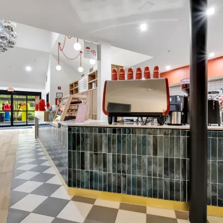 Bob Hotels Tallahassee - Boutique on Budget