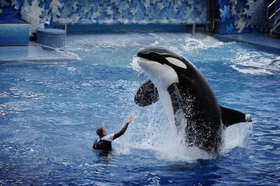 Surroundings #1 Location - Fast Wifi - Work Area - 2Br/2.5 Bath - Free Parking (FV1) Photo